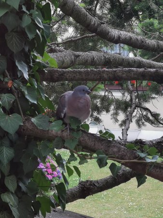 IMG_20200630_153522.jpg