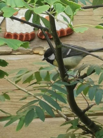IMG_20200626_203618.jpg