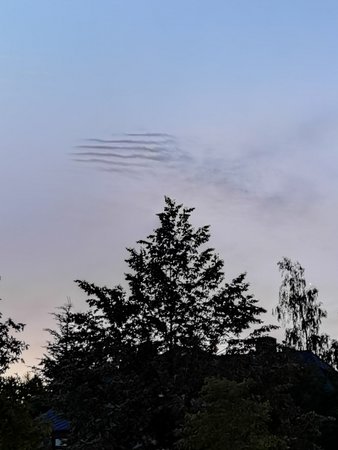IMG_20200704_042830.jpg
