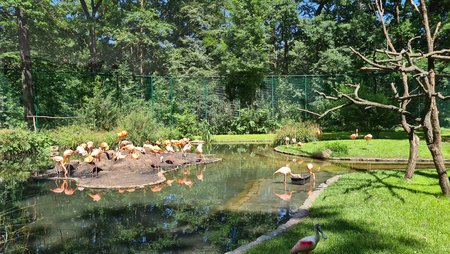 20200704_141915.jpg