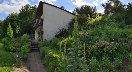 PANO_20200705_180147.jpg