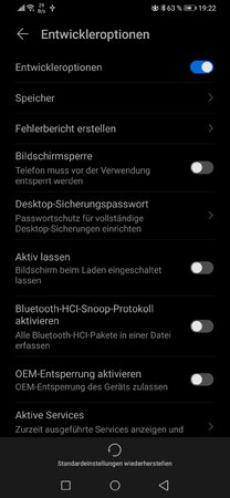 Entwickleroption.jpg