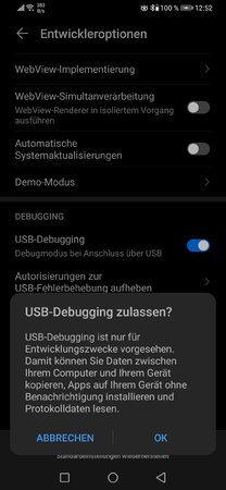Debugging Zulassen.jpg
