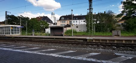 IMG_20200712_171307.jpg