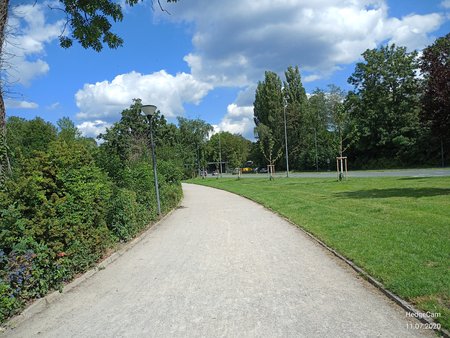 IMG_20200711_160554.jpg