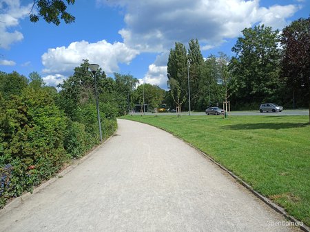 IMG_20200711_160600.jpg