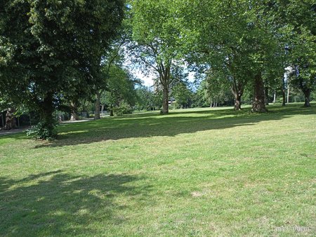 IMG_20200711_160823.jpg