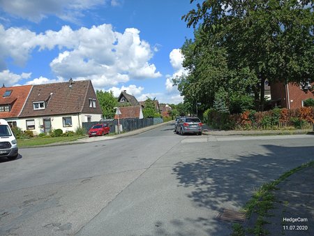 IMG_20200711_161138.jpg