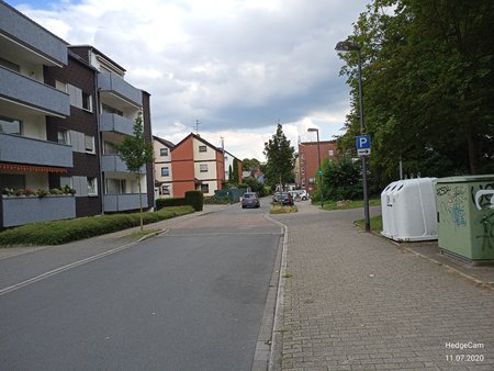 IMG_20200711_170136.jpg