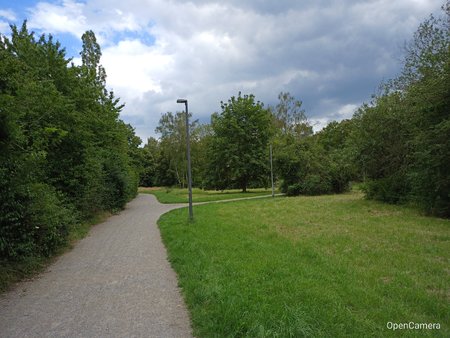 IMG_20200711_170732.jpg