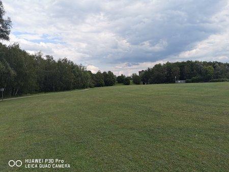 IMG_20200711_172054.jpg