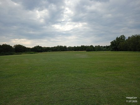 IMG_20200711_172415.jpg