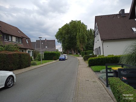 IMG_20200711_174223.jpg