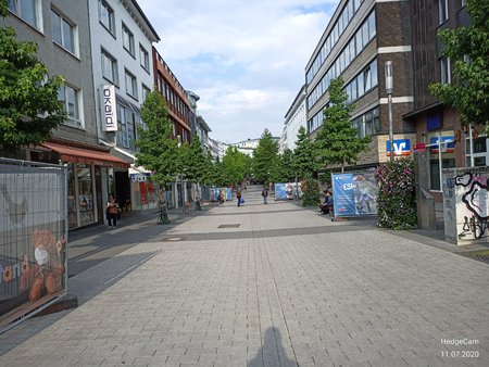 IMG_20200711_184652.jpg