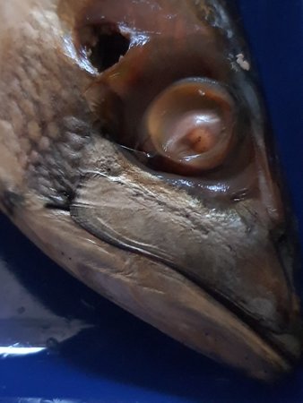 2020071518311500.jpg