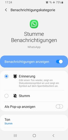 Screenshot_20200716-172447_Settings.jpg