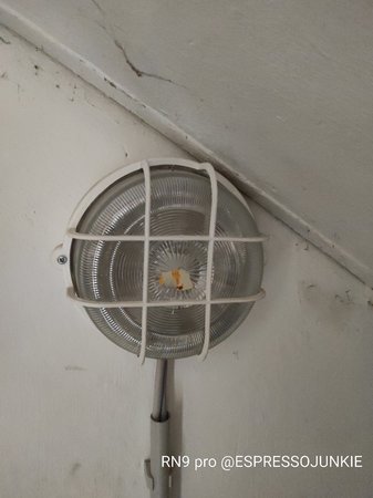 IMG_20200717_114027.jpg