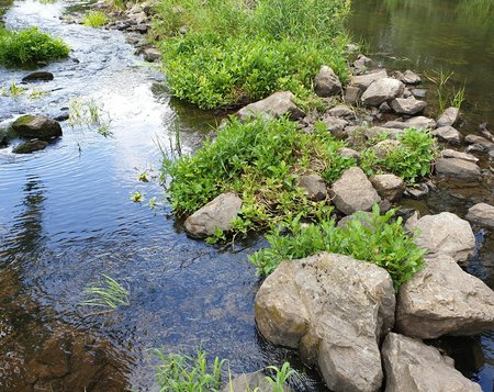 20200717_162203_1.jpg