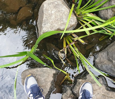 20200717_161725_1.jpg