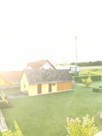 IMG_20200718_062118.jpg