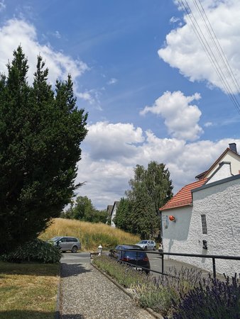 IMG_20200718_130421.jpg