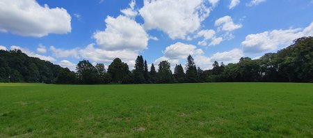 20200719_130943_HDR.jpg