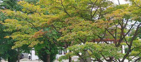 20200718_162025.jpg