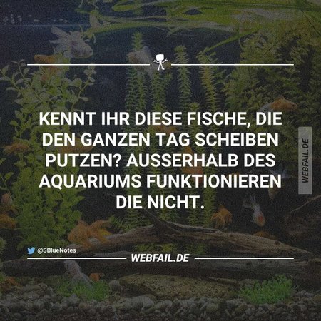 aquarium.jpg