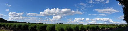 20200721_183414.jpg