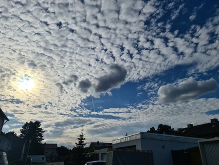 20200722_185736.jpg