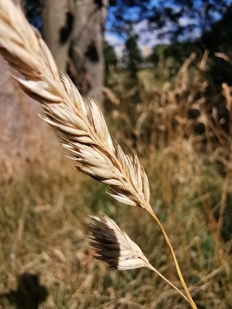 IMG_20200723_101158.jpg