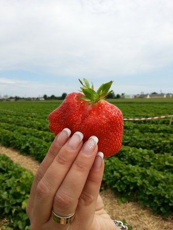 20120607_152029.jpg