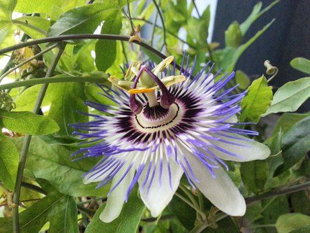 2012-06-06 19.37.20.jpg