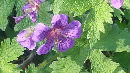 2012-06-10 16.53.55.jpg