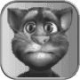 tomcat2.png