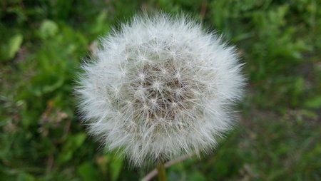 20120609_163817.jpg