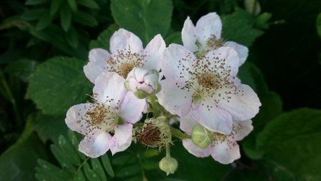 20120609_163749.jpg