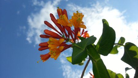 20120609_163240.jpg
