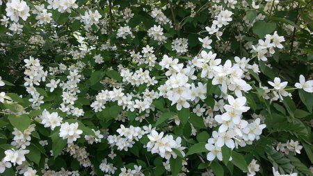20120609_163122.jpg