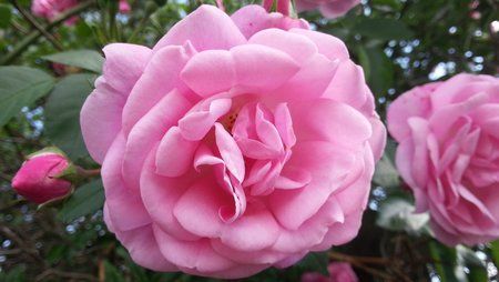 20120609_162831.jpg