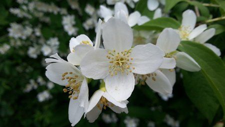 20120609_142256.jpg