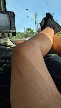 IMG_20200725_185545.jpg