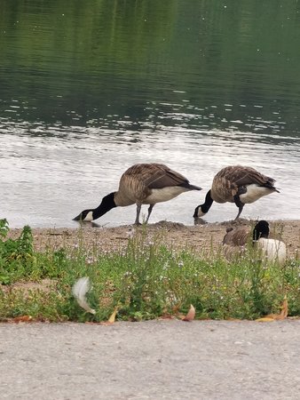IMG_20200726_111627.jpg