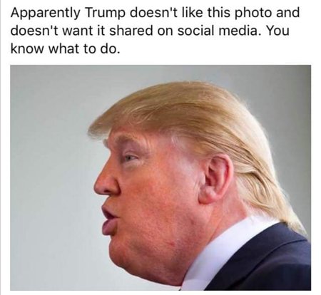 Trump-von-FB.jpg