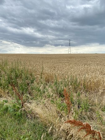 2567946D-1CEC-4C67-843D-5CA10B8703E7.jpeg
