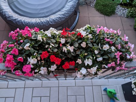 3_GCam_Abend-Fotomodus.jpg
