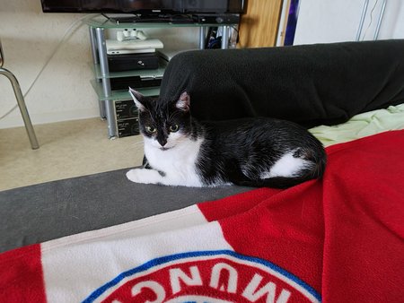 20200731_012912.jpg