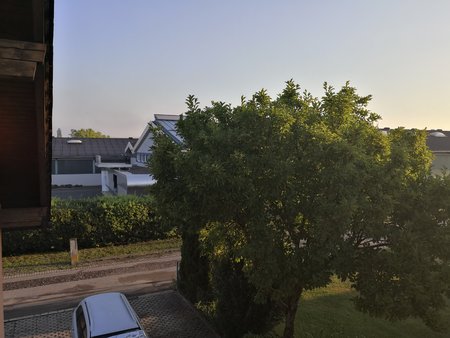 IMG_20200801_063001.jpg