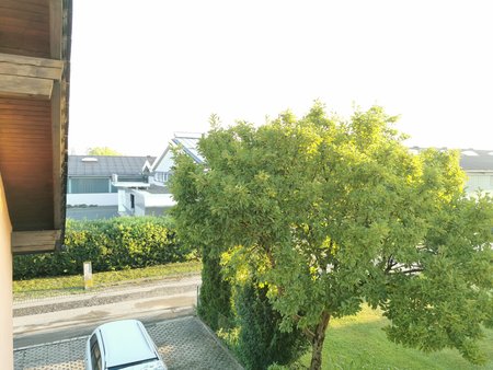IMG_20200801_062849.jpg