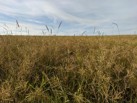 MVIMG_20200720_073516.jpg